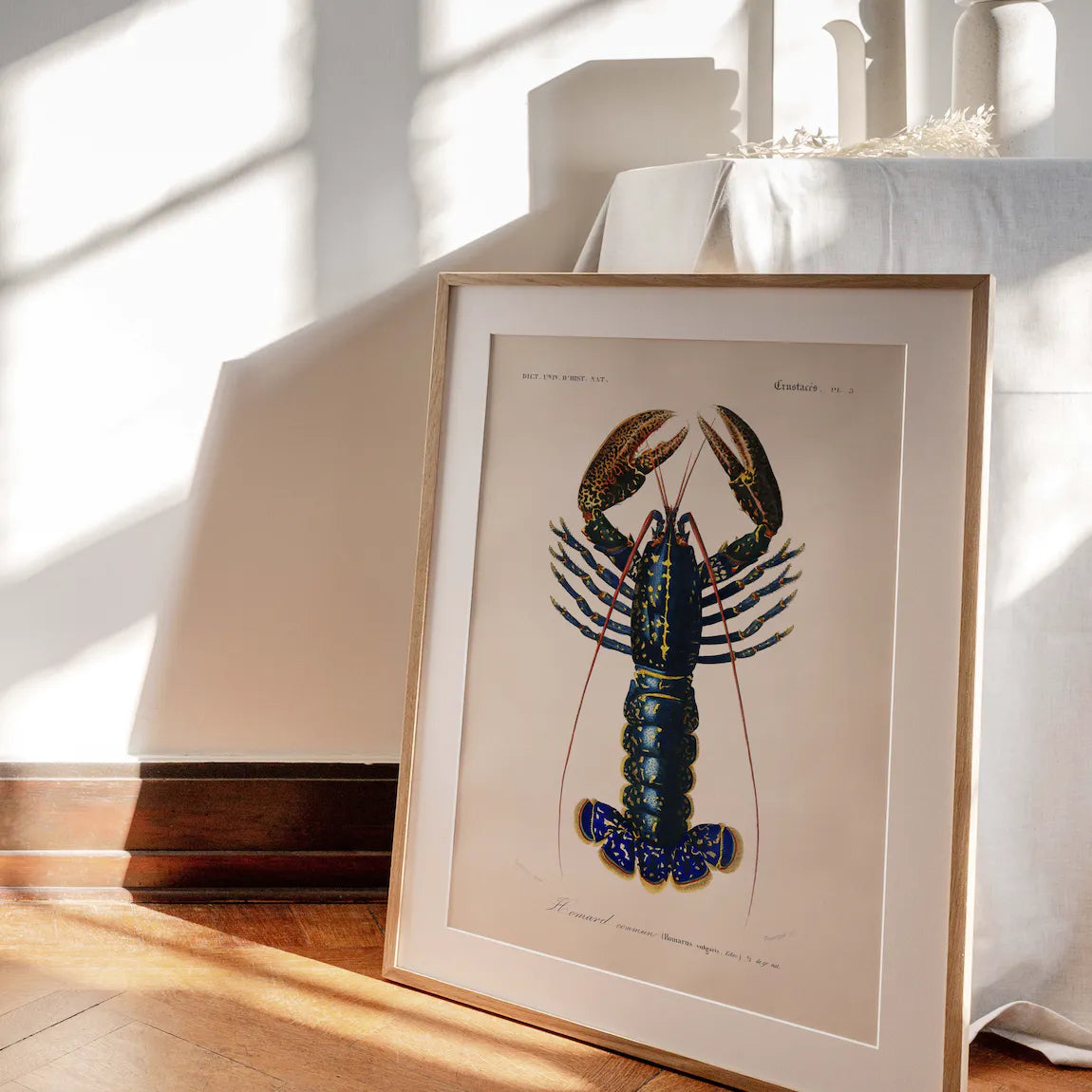 Poster "Der Hummer"