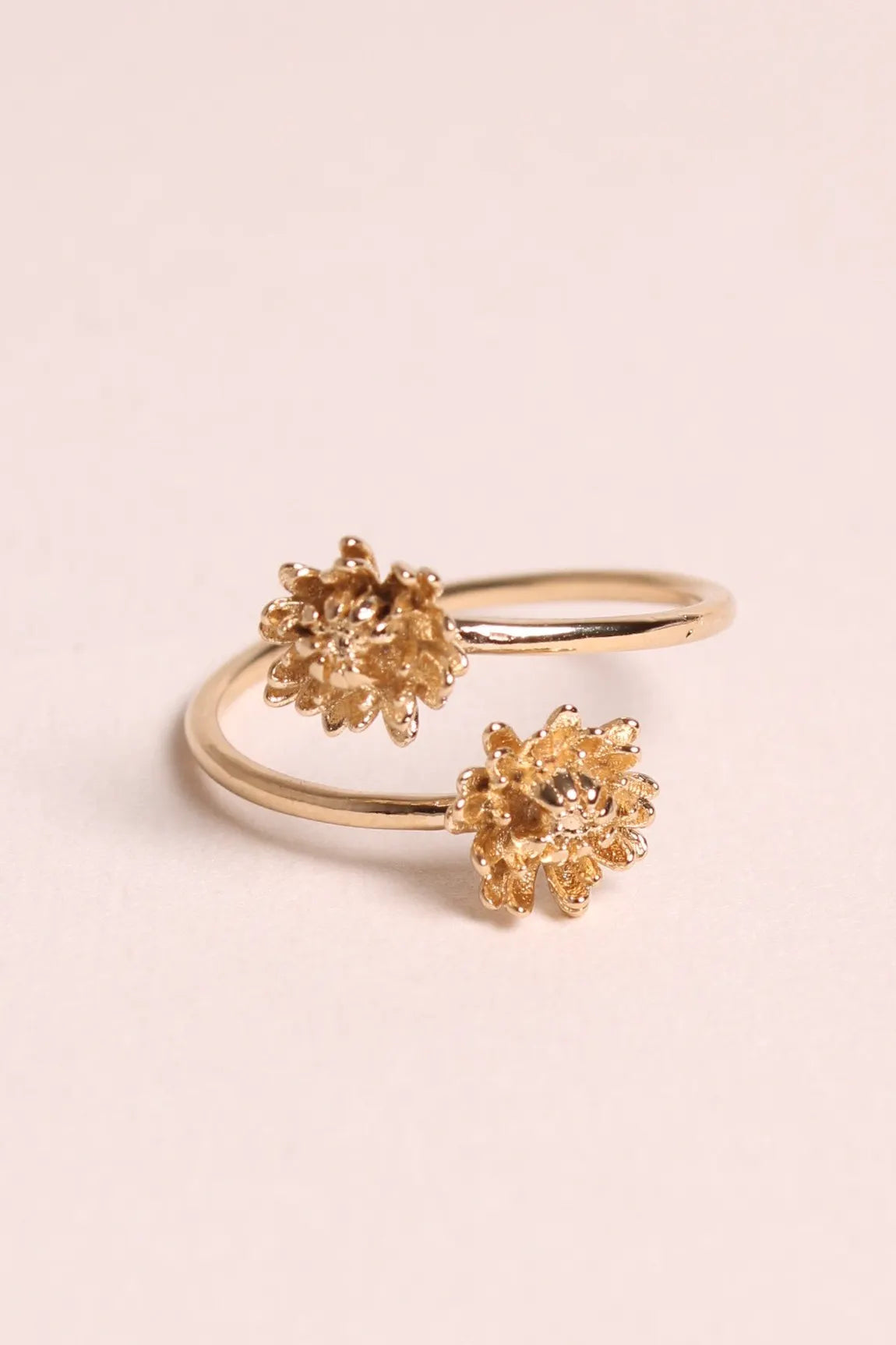 Goldener Ring - Blumenwiese