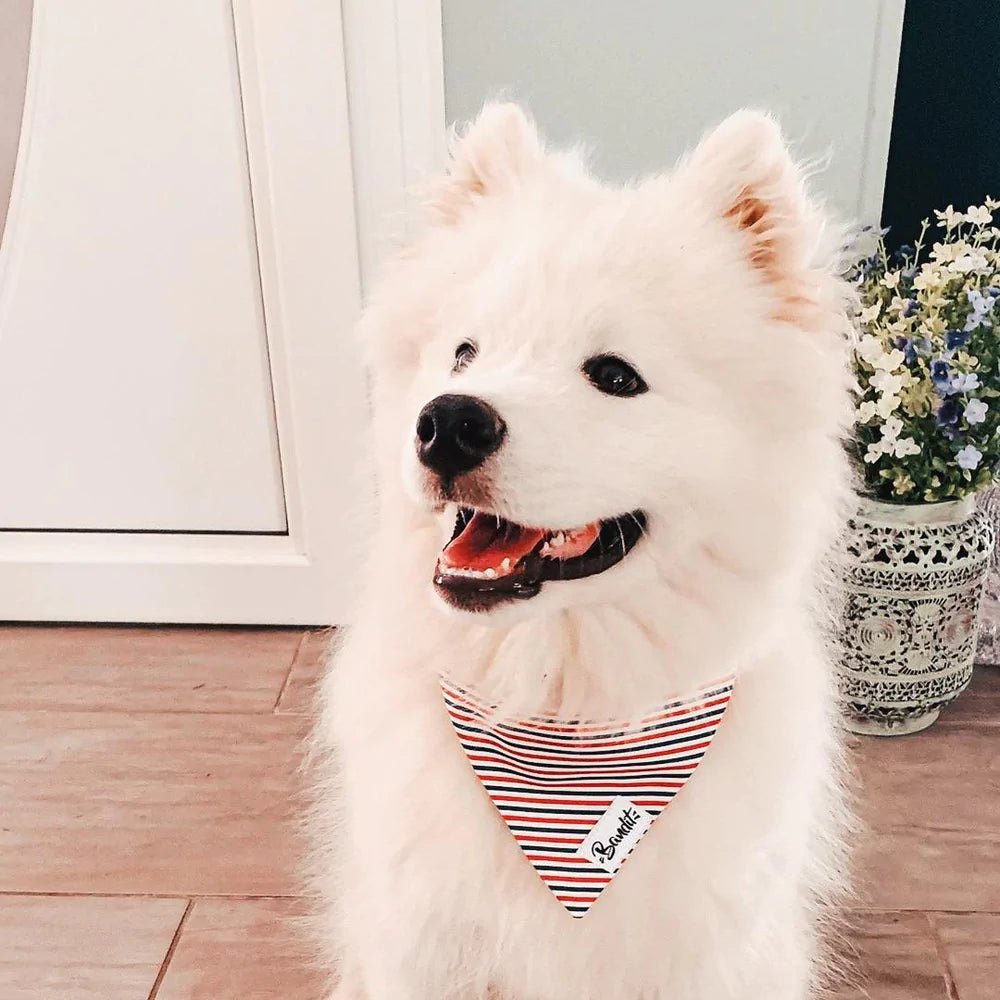 Hundehalsband Bandana Tricolore